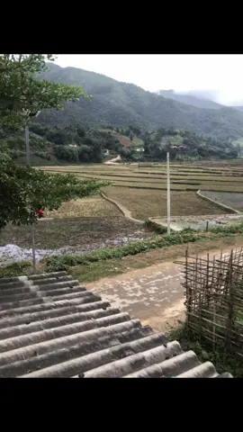 No cap…#xuhuongtiktok #livephoto #motminhcoonkhong #captinhyeu 