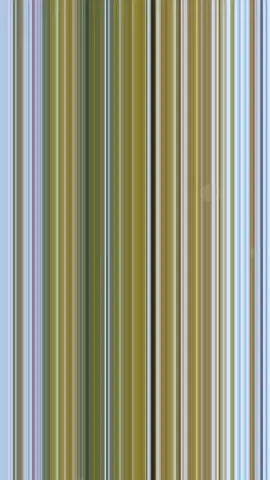 #المانيا🇩🇪  #قلبي_في_هواك_هايم  #الخريف_والجو_الجميل🍁🍂 