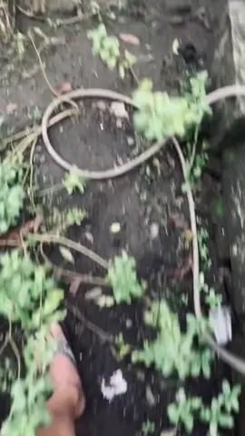 penting fungsi sek😁 #mursid 