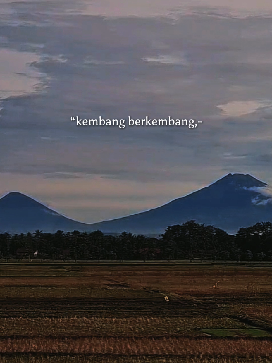 Cinta rahasia #CapCut #cintarahasia #yayanadila #fyppppppppppppppppppppppp #laguviral 