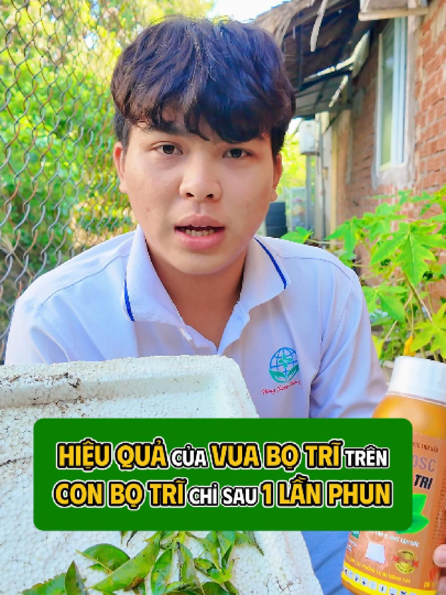 Hiệu quả bất ngờ của Vua Bọ Trĩ trên con bọ trĩ #nongduoctoancau #thuocbaovethucvat #phanbon #caytrong #nongnghiep #bọtrĩ @taphoaphanbon