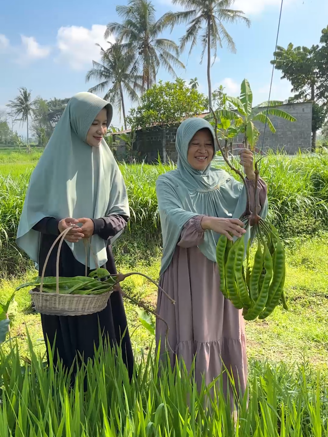 Panen Pete di Kebun | Masak Lodeh Pete, Ayam Goreng, Gereh Petek, dan Sambel Pete | Kampung Halaman @sasa.melezatkan 