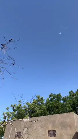 #القوات_المسلحة_السودانية_تمثلني #فك_حصار_الفاشر 