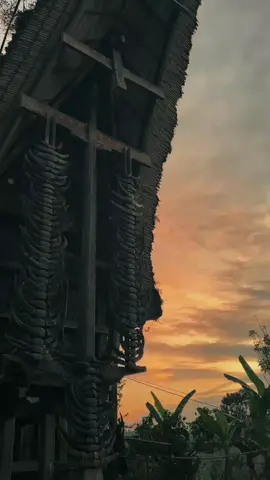#fyp #toraja #tongkonantoraja #senja #fyppp 