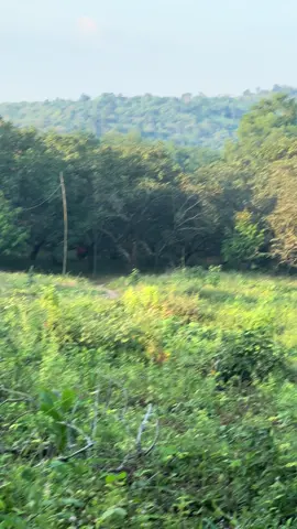 Nettt chx #xedovietnam🇻🇳❤ 