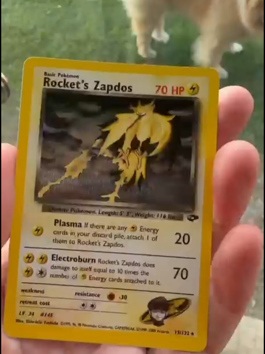 Insieme a Teseo 🐶 diamo uno sguardo da vicino alla nostra collezione! 🔍✨️ Rocket's Zapdos Set Gym Challenge 📦🔷️ Vinted: lucag7992  📸 Instagram: romatcg_shop #pokemoncards #cartepokemon #collezionepokemon #vinteditalia #viral 