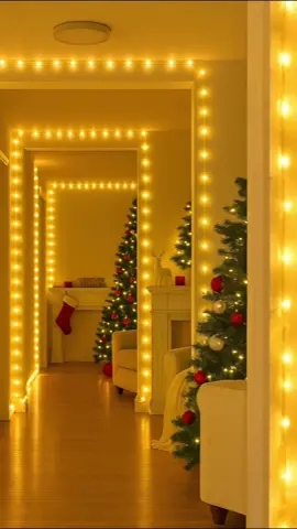 Solar Rope Lights ☀️ #ropelights #christmaslights #decoration #solarropelights 