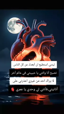 #الشعب_الصيني_ماله_حل😂😂 #المغرب🇲🇦تونس🇹🇳الجزائر🇩🇿 #الجزائر🇩🇿_تونس🇹🇳_المغرب🇲🇦 #المغرب🇲🇦تونس🇹🇳الجزائر🇩🇿تركيا🇹🇷_العراق🇮🇶 #السعودية🇸🇦 