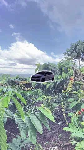 bismillah🤲🏻#brioganteng #sorotantiktok#kopirobusta#fyppppppppppppppppppppppp#xyzbca 