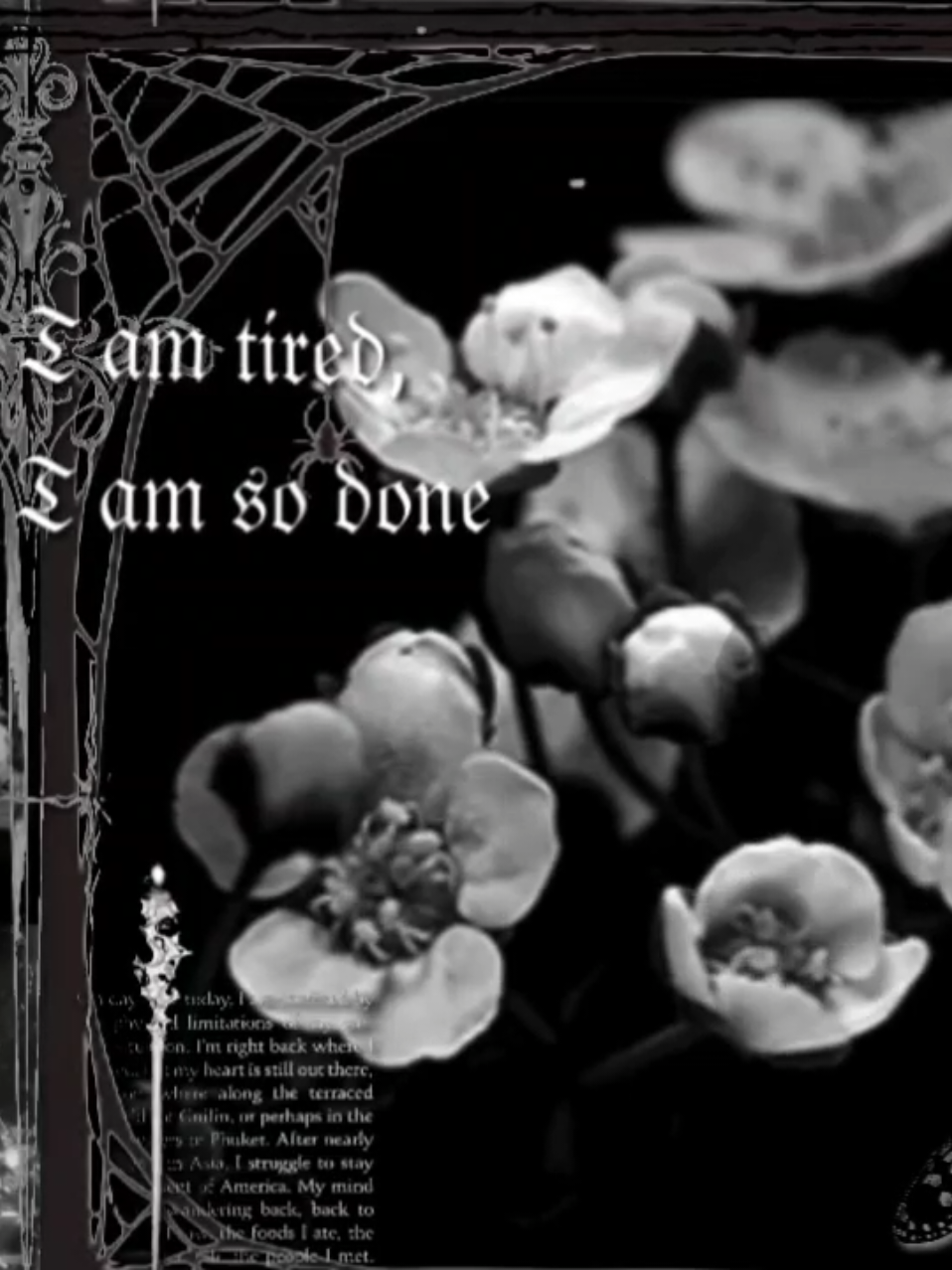 #ULTRASUNN ♱ #ultrasunn #gothic #gothband #gothmusic #aesthetic #vibe #fyp #pipidastr #ultrasunnkeepyourelespeeled 