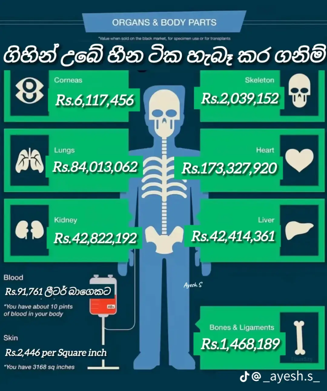 #fyp #viral #100k #Multiaverso #awarding ceromony