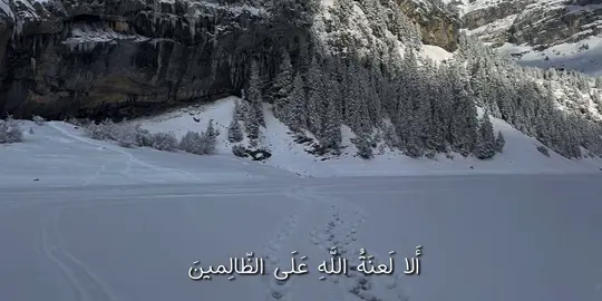 سورة هود | القارئ #ماهرالمعيقلي #قران_كريم #قران  #quran #quran_alkarim 