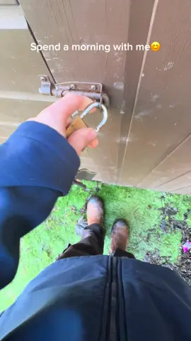 Busy enough morning. #bluecollar #apprenticeship #goviral #fyp #mentalhealthmatters 