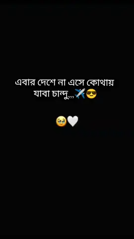 এবার তাড়াতাড়ি চলে আসো 