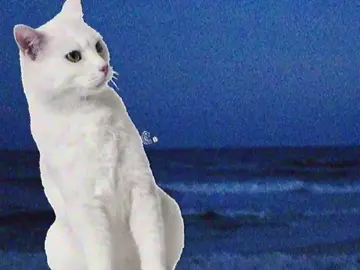 #اكسبلور #الحياه_صعبه #ساد #اكسبلور 