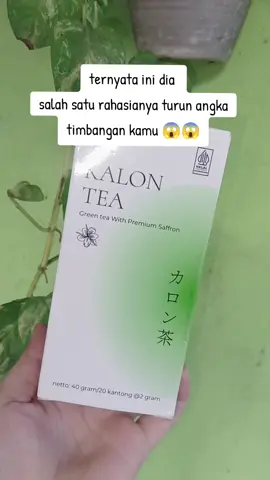 #creatorsearchinsight #tehhijau #tehkalonsoffron 