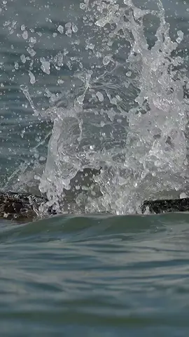 #🦅 #🔥 #اكسبلور #zako😎 #CapCut 