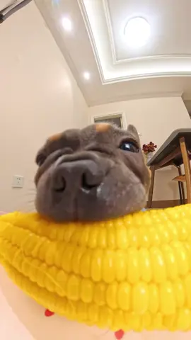 I'll see you all live,follow me now! #tiktok #fyp #foryoupage #cure #music interesting dance ootd 