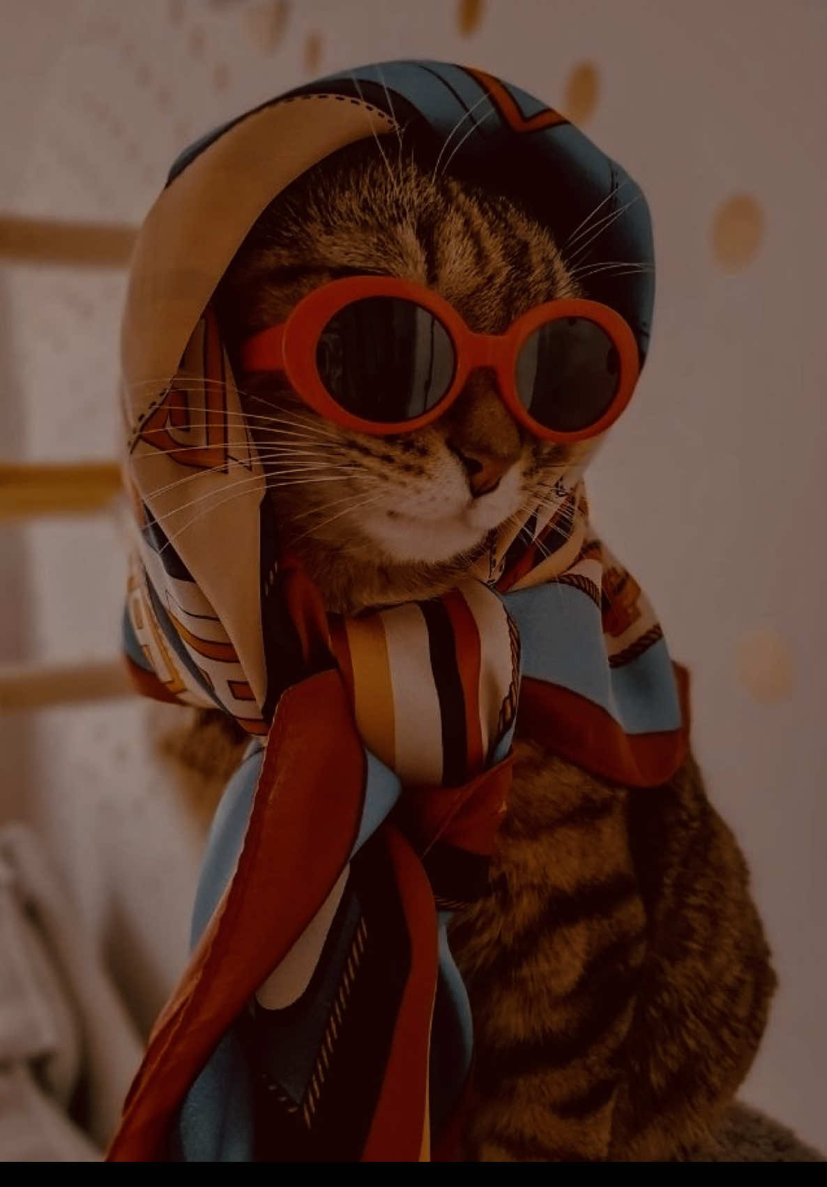 بى پولى بد درديه😂🤣 #persiansong #fyp #farsi #فوريو #irani 