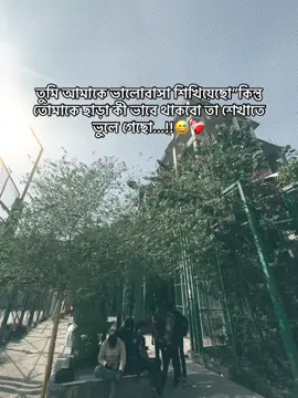 #tiktok #foryou #idfreezed তুমি চলে গেলে কি ভাবে থাকবো আমি!🫠💔