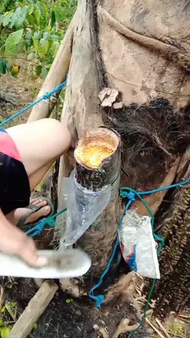 rungokno dawuh e gus e cah🤣 #fypp #tuakaren 