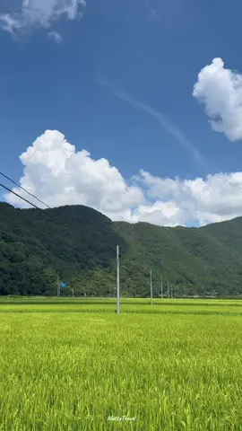 いよいよ各地で夏の景色がなくなってきて寂しい #日本 #絶景 #夏 #Summer #fyp 