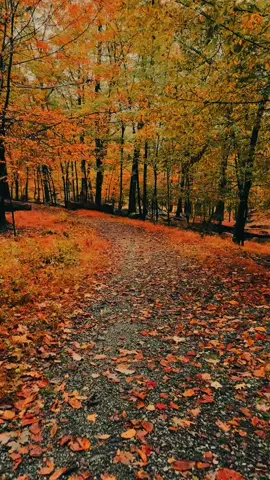 #fyp #viral #foryou #quran 