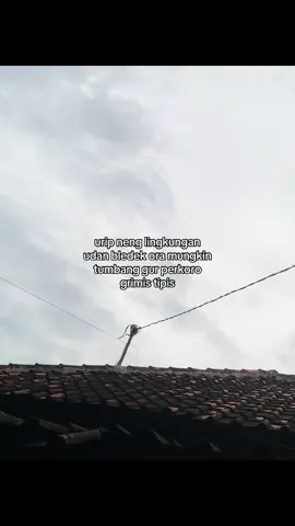 #4upage #berandafyp #fyp #4u 