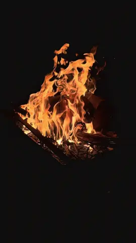 #الشعب_الصيني_ماله_حل😂😂 #العراق #بغداد #f 