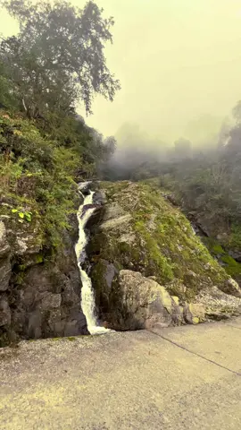 Lost between beginnings and ends 🍃 #fyp #foryoupage #nature #peace #❤️ 