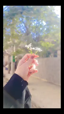 أُدركت أن لا مكان في هذا العالم للحب 