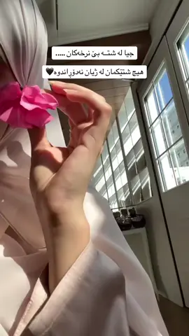 #الحمدالله_دائماً_وابدا #allah❤️ #cat 