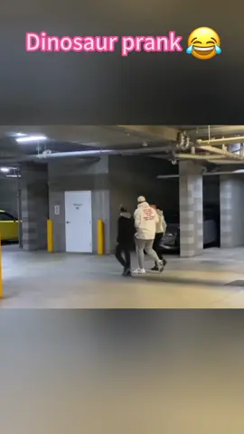 Dinosaur prank #happy #froyou #fyp #tiktok #funny #prank #fouryou #people 