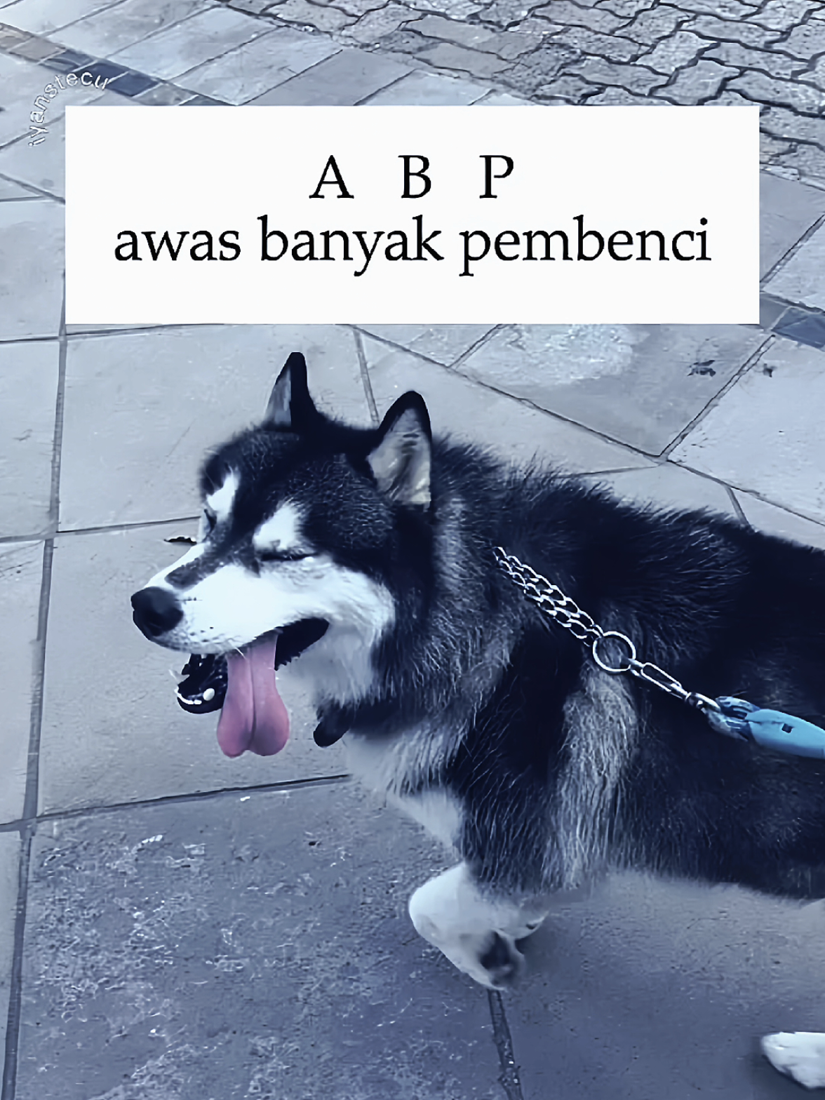 #CapCut ABP😛🔥 #templatecapcut #fyp #jj #tomtmplt 