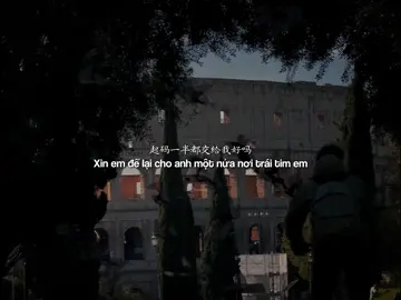 “nửa trái tim” #nhactrung #nuatraitim #douyin #xuhuong #tnlcorner 