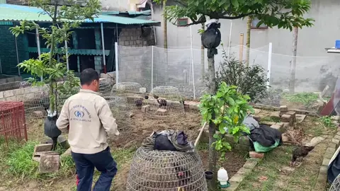 nhìn cũng bận phết