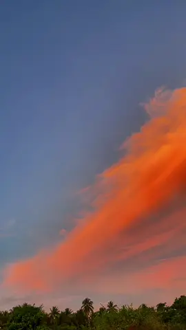 Pesan-pesan’mu hari ini >>