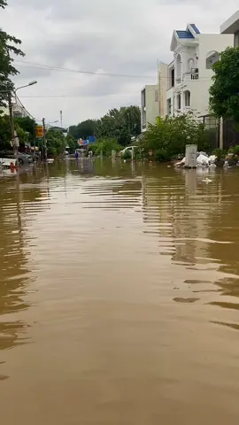 #creatorsearchinsights Chuyện thường ngày trước nhà mùa nước #xuanphat9 #cantho #trungnien #soctrang  @Anh công nhân9 