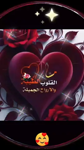 #مساؤؤؤؤؤؤؤؤؤؤؤؤؤؤؤ____🥀🌺🥀 