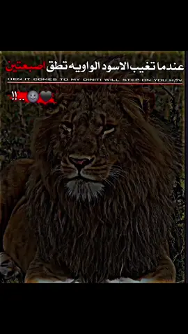 |#عبارات #ديراوي_♕🖤  #تـصميم_ديراوي🗞🖤 