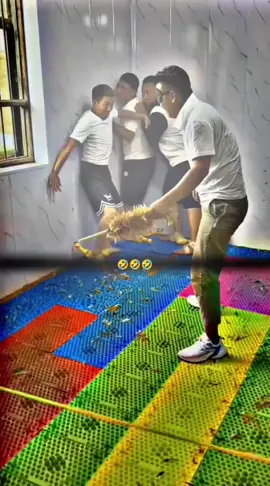 #BalliBotMogis #TrendingReels #TrendingReels #Foryoupage ##FYP #FYP #ViralTikTok #MillionViews #TechMagic #SmartBot #AITrend #RobotVibes #Innovation