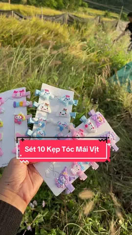 Sét 10 Kẹp Tóc Mái Vịt#keptoc #keptocxinh #bimtoc #keptochanquoc #xuhuong 