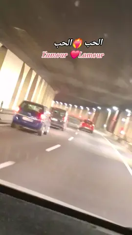 #الحب❤️ #الحب،الحب #الشعب_الصيني_ماله_حل #بركانية_و_وافتخر #فيديوهاتي_تصاميمي ❤️‍🔥❤️‍🔥❤️‍🔥