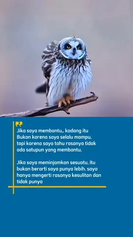 #qoutes #foryou #foryoupage #laguviral #CapCut 