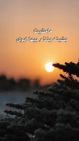 #تصويري📷 #تصويري_احترافي_الاجواء👌🏻🕊😴🎬 #اكسبلورexplore #عبارات #اللهم_صل_على_محمد_وآل_محمد 