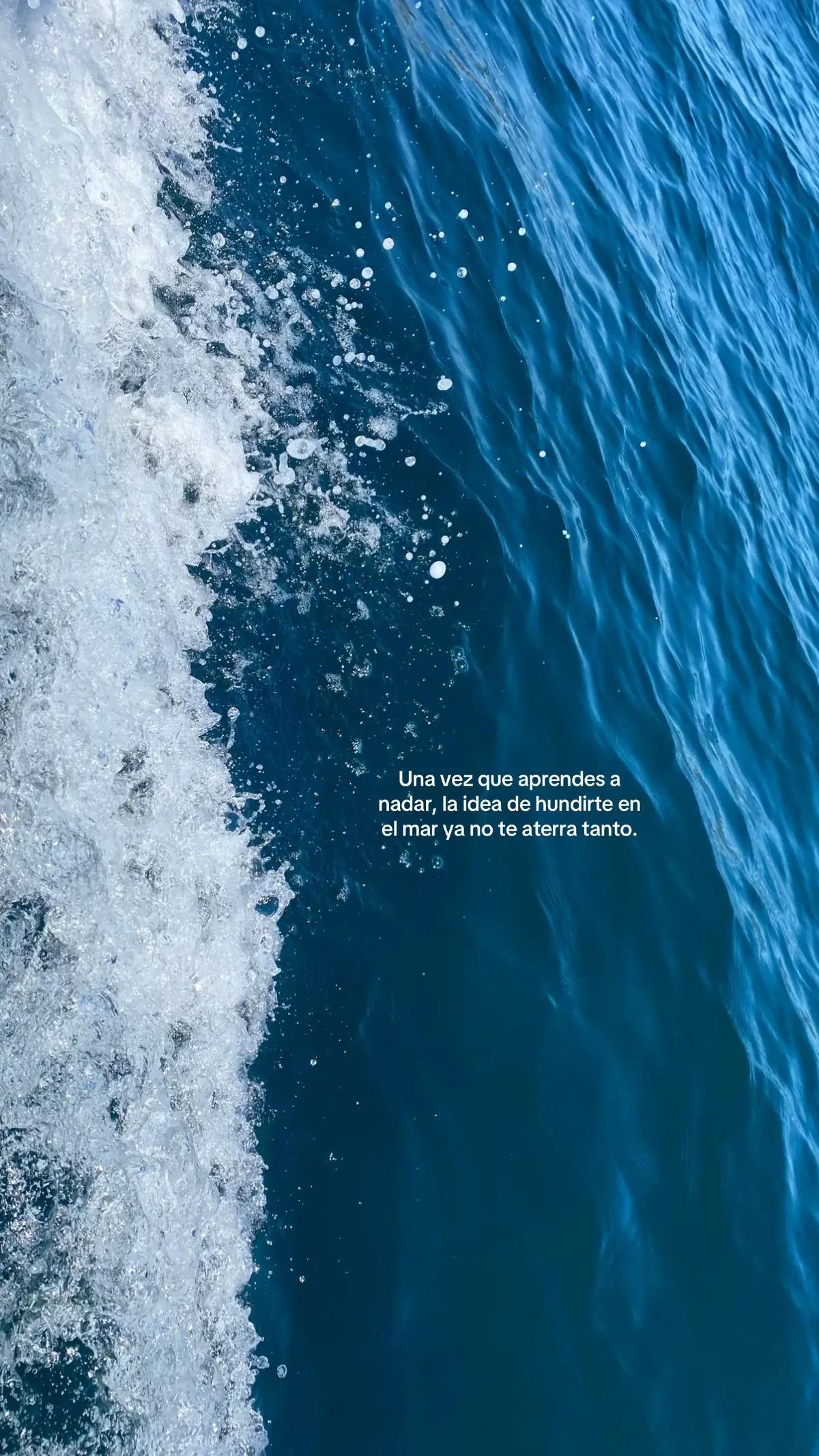 #tiktoksacamedelflopppppp #tiktok #mar #badbunnypr 