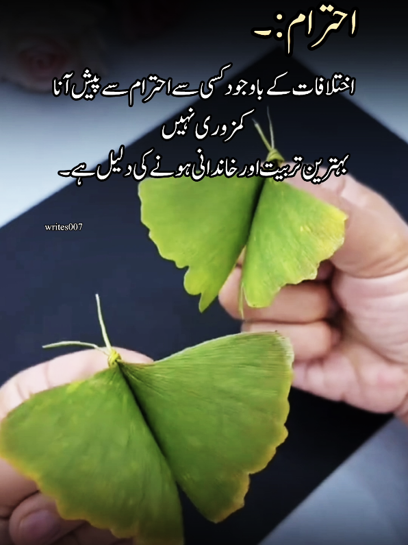 #creatorsearchinsights 