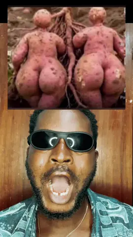 Encore une patate #comedie #drole #humour #maurifou 