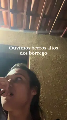 Mistérios da noite no sertão #sertao #sertaodonordeste🌵 #nordeste #roça #misterio 