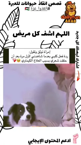 كلب يعانق صاحبته بعد أن حلقت شعرها للعلاج الكيميائي 💔🐶 📝 الوصف: عندما رآها بدون شعر، لم يتردد لحظة… ركض ليعانقها بقوة وكأنه يقول: 